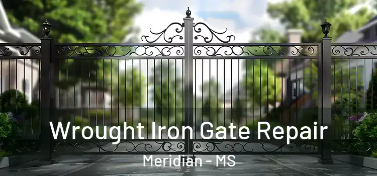 Wrought Iron Gate Repair Meridian - MS